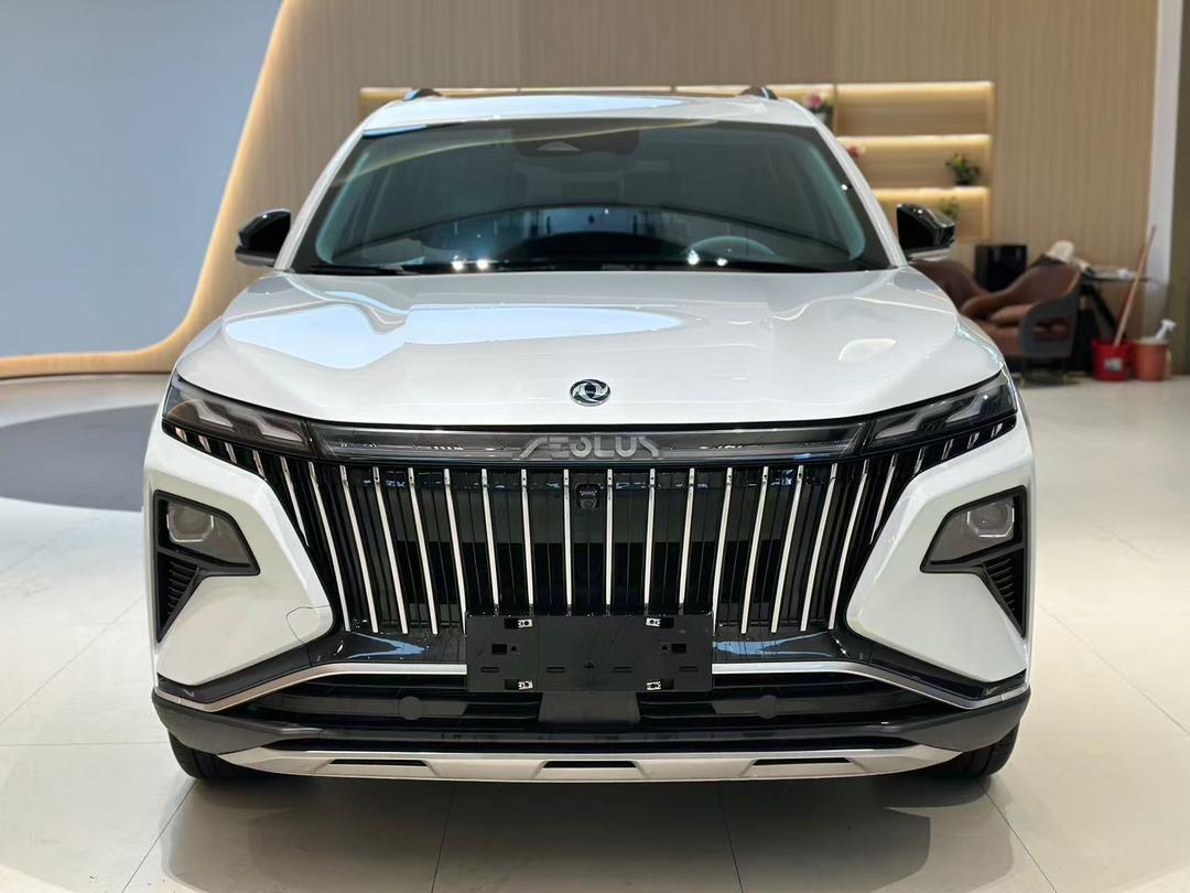 
								Dongfeng Aeolus full									