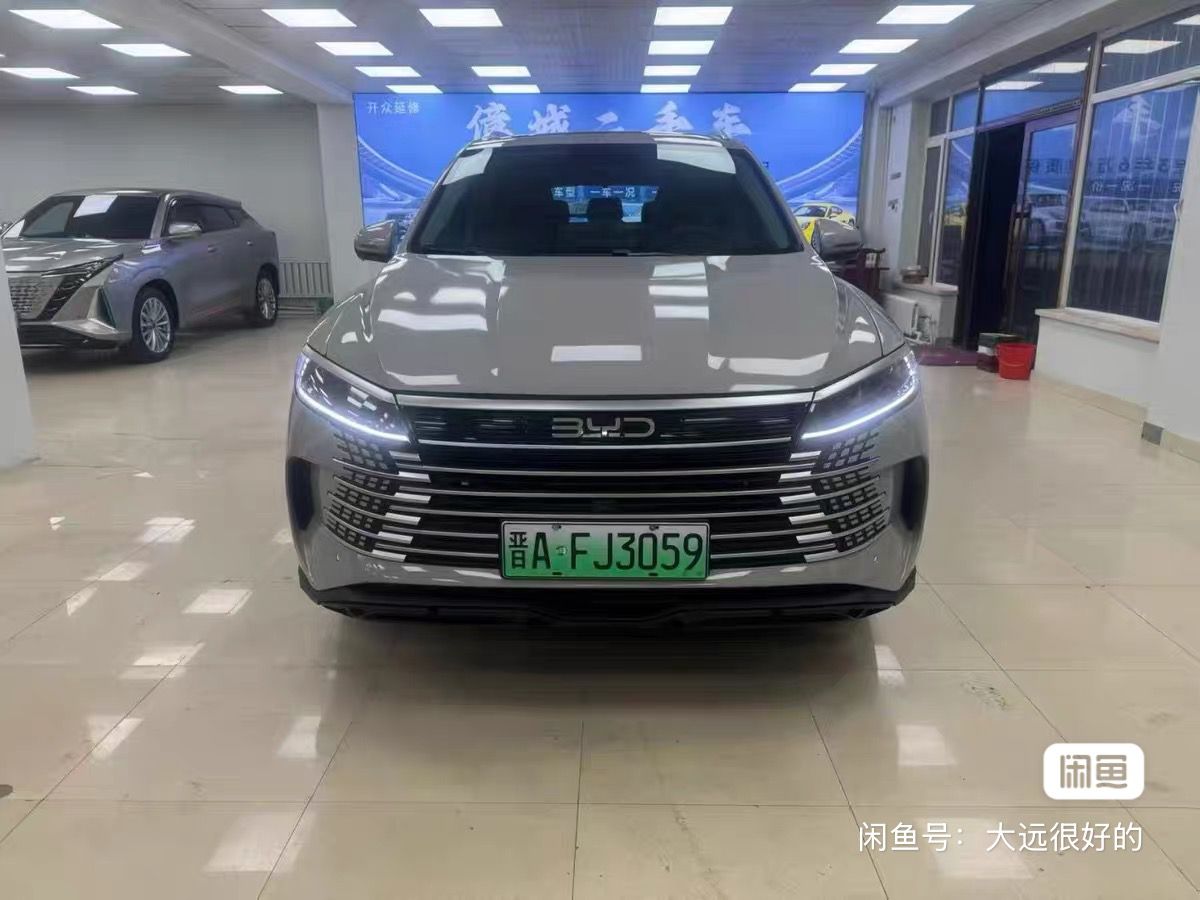 
								BYD Destroyer full									